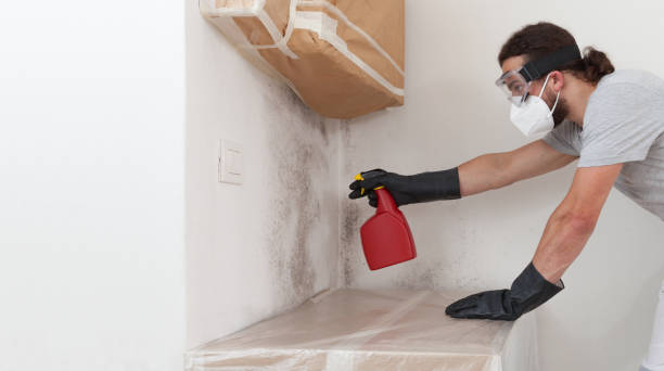 Professional Mold Remediation technician working in Rebuck, PA