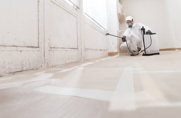 24/7 Emergency Mold Remediation experts in Rebuck, PA